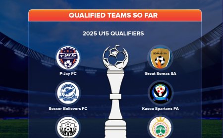Qualified Teams for PJMOT 2025 U15